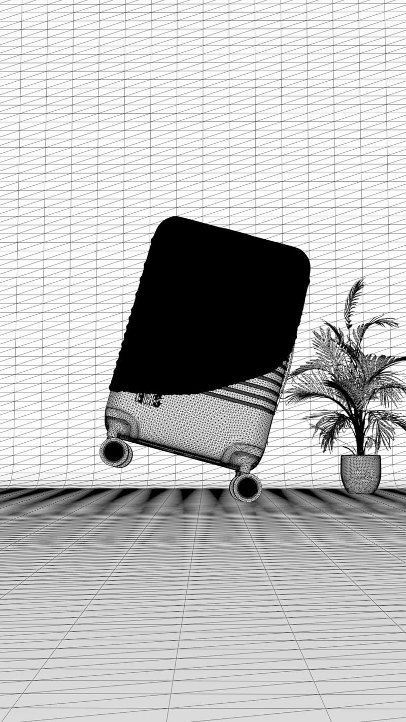Wireframe : valise inclinée et plante